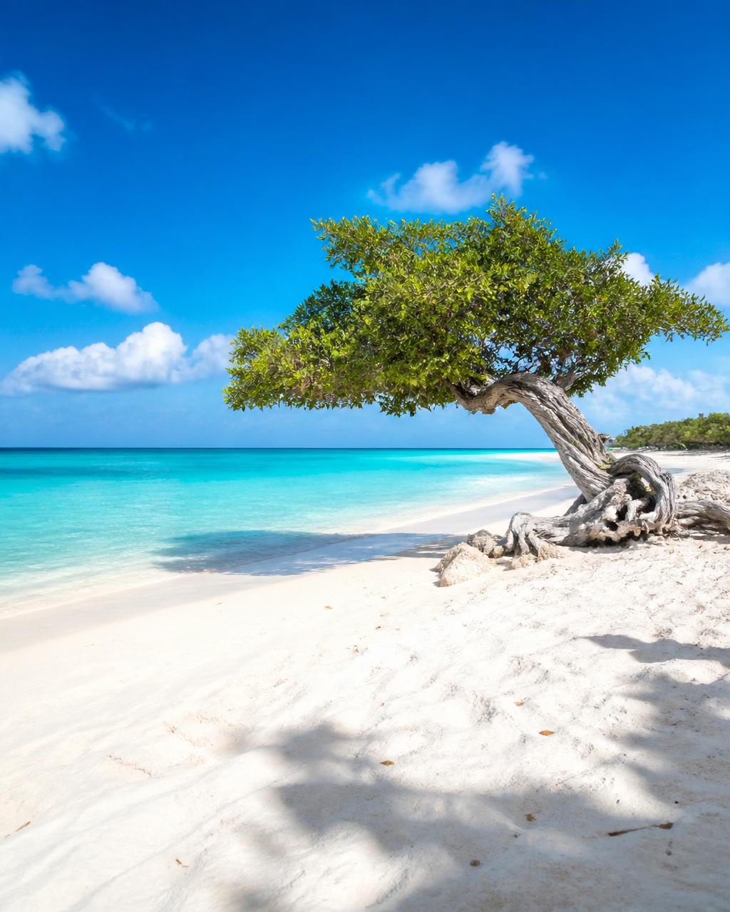 Aruba